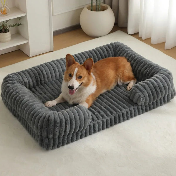 A brown and white Corgi lies on a plush, ribbed gray dog bed in a bright, modern room with white curtains and a wooden floor.