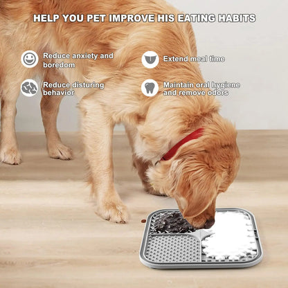 Dog eating from a metal food dish with text on improving pet eating habits.