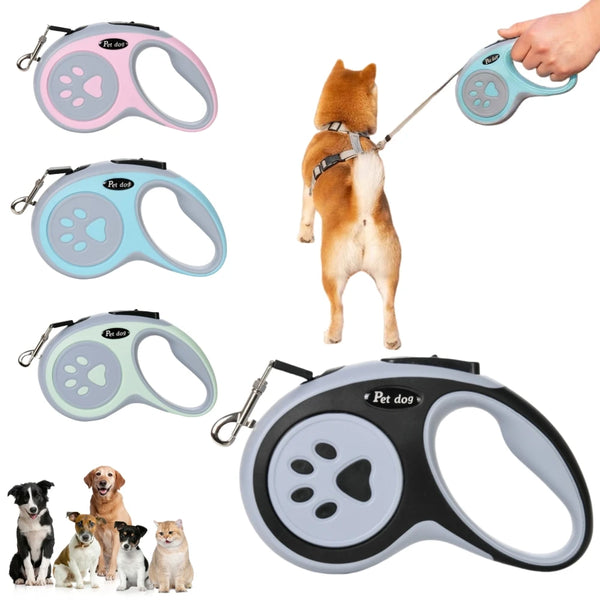 Set of retractable dog leashes with a dog on a leash and multiple leashes displayed.