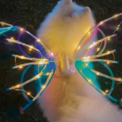Cat wearing colorful butterfly wings with LED lights on a dark background