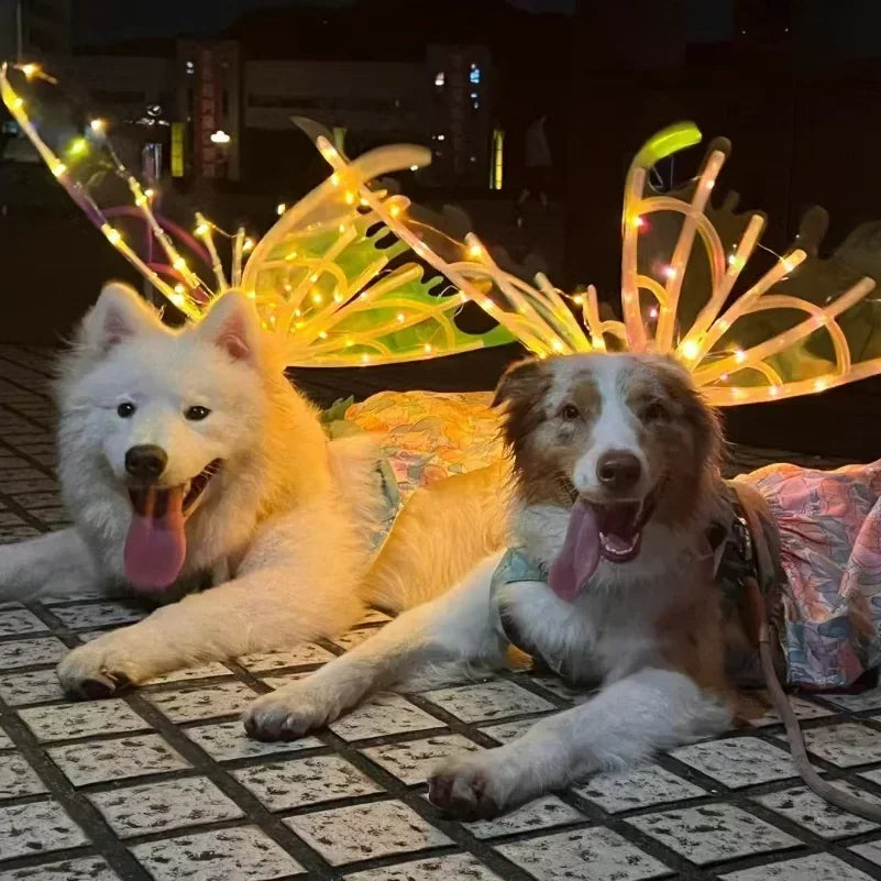 Two dogs lying on a tiled outdoor floor at night, each wearing a glowing fairy-style costume with illuminated wings and a small dress. The scene is lit by warm yellow string lights, with blurred city lights in the background.