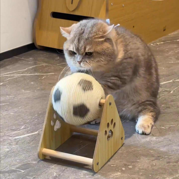 Cat playing with a wooden ball toy on a marble floor
