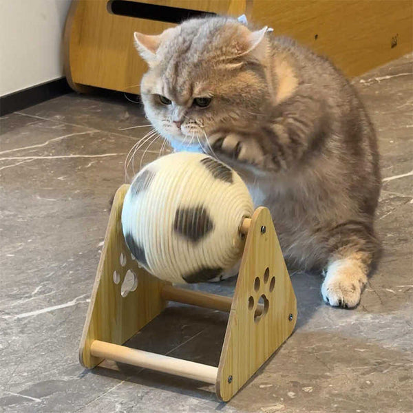 Cat playing with a wooden spinning wheel toy on a marble floor.