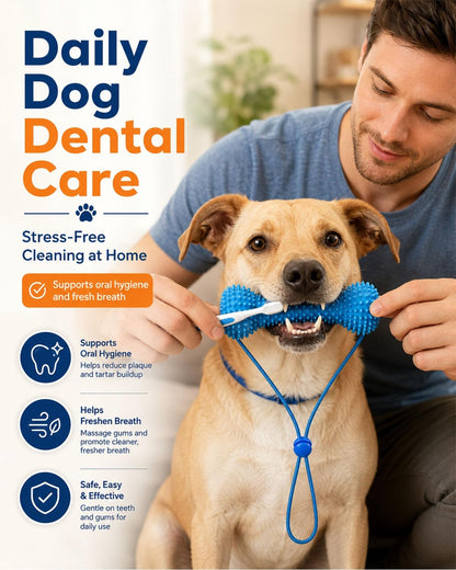 A man gently holds a light brown dog while using a blue silicone dental cleaning toy attached to a blue loop leash. The image is a promotional graphic with the text 'Daily Dog Dental Care' and several benefits listed on the left side.