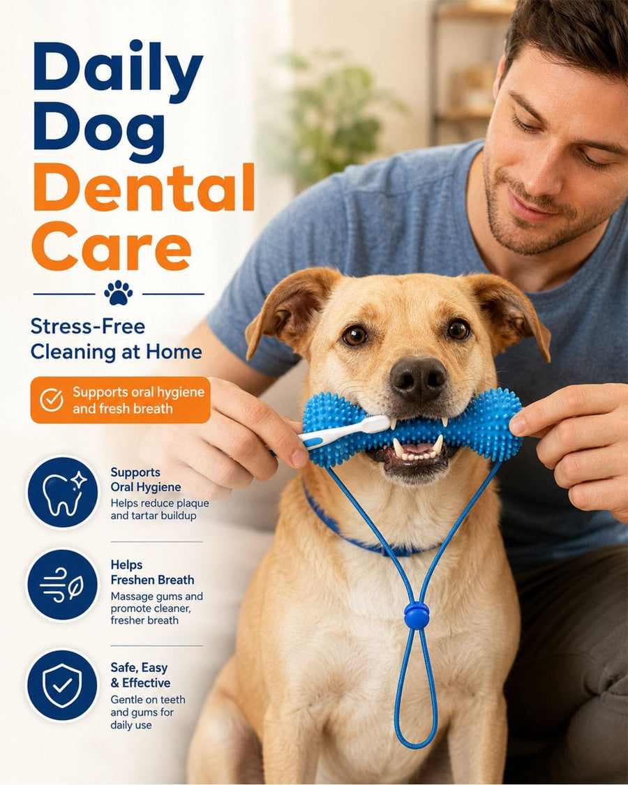 Dual-Action Dog Dental Chew Toy with Finger Toothbrush Set - Bite and Brush Oral Care Kit