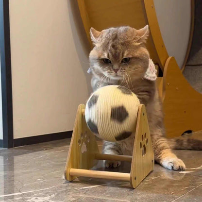 Cat playing with a ball on a stand indoors