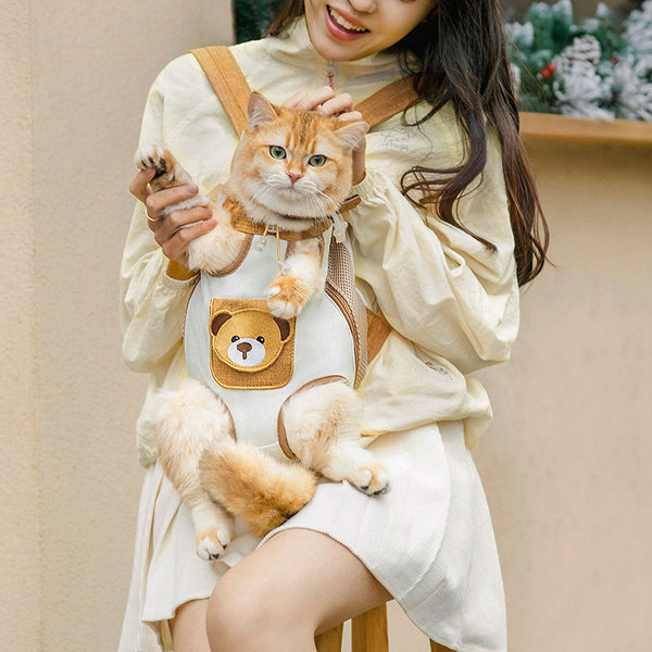Person holding a cat in a bear-themed harness with a teddy bear emblem.